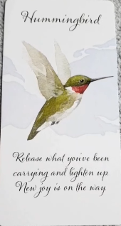Divine Feather Messenger
